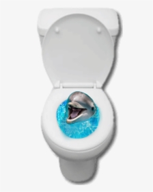 #toilet #dolphin #collage #golfinho #privada #aestheticshit - Short-beaked Common Dolphin, HD Png Download, Transparent PNG