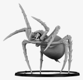 Warrior Spider, HD Png Download, Transparent PNG