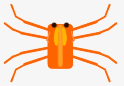 Freshwater Crab, HD Png Download, Transparent PNG