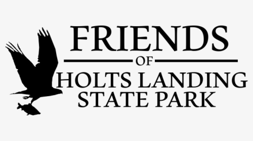 Friends Of Holts Landing State Park Logo - Pigeons And Doves, HD Png Download, Transparent PNG