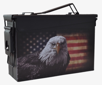 Popular Custom Designs - Bald Eagle American Symbol, HD Png Download, Transparent PNG