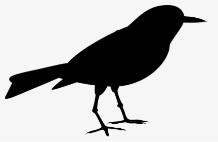 American Crow Clip Art Fauna Silhouette Common Raven - Old World Flycatcher, HD Png Download, Transparent PNG