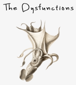 The Dysfunctions - Vintage Squid Illustration, HD Png Download, Transparent PNG