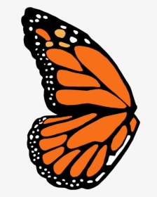 Monarch Butterfly Wing Template, HD Png Download, Transparent PNG