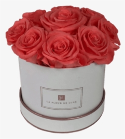 Long Lasting Peach Roses In A White Box - Garden Roses, HD Png Download, Transparent PNG