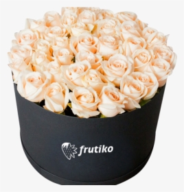 White Roses Black In Box, HD Png Download, Transparent PNG