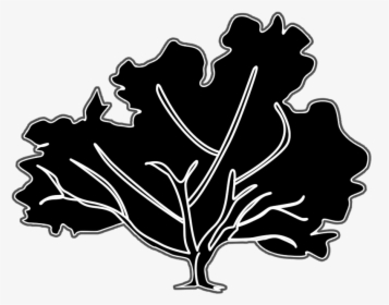 Fall Tree Silhouette - Illustration, HD Png Download, Transparent PNG