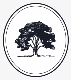 Estate Planning We Help Individuals And Families Protect - Beech Tree Vector, HD Png Download, Transparent PNG