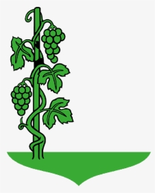 Fruit, Grapes, Drawing, Tree, Cartoon, Grape, Trees - Draw A Grape Tree, HD Png Download, Transparent PNG