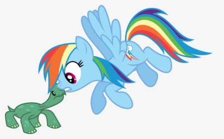 Artist Porygon Z No Shell Rainbow - Friendship Is Magic Rainbow Dash, HD Png Download, Transparent PNG
