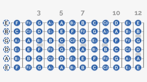 Full Guitar Notes Diagrams - Circle, HD Png Download, Transparent PNG