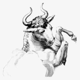Bull, Buffalo, Horn, Animal, Mammal, Large - Celtic Mythology Gallic Mythology Giants Names, HD Png Download, Transparent PNG
