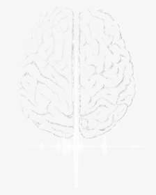 Split Brain Logo For Dark Background-no Text, HD Png Download, Transparent PNG