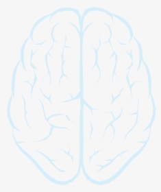 Illustration, HD Png Download, Transparent PNG