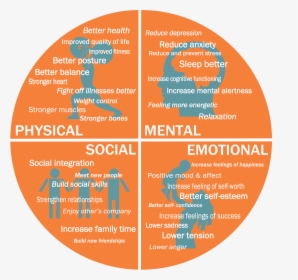 The Benefits Of Working Out Extend Beyond Just The - Physical Social Emotional Cognitive, HD Png Download, Transparent PNG