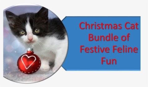 Transparent Christmas Cat Png - Christmas Sunday Quotes, Png Download, Transparent PNG