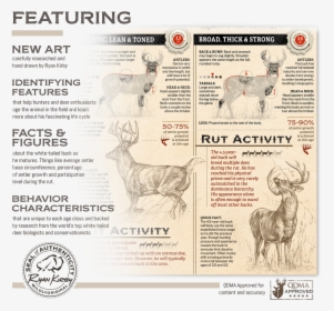 Ryan Kirby Growth Maturity Whitetail Buck Features, HD Png Download, Transparent PNG