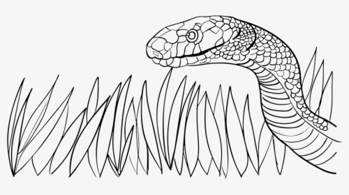 Snake In The Grass Cliparts, HD Png Download, Transparent PNG