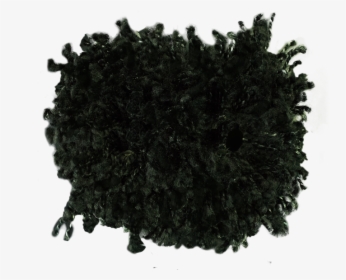 Circle, HD Png Download, Transparent PNG