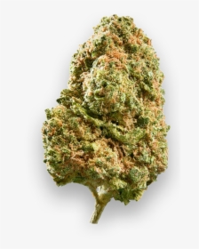 California Haze, HD Png Download, Transparent PNG