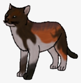 Wildfang Warrior Cats, HD Png Download, Transparent PNG