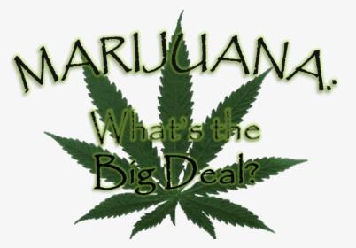 Plantation, HD Png Download, Transparent PNG