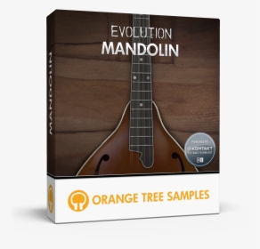 Orange Tree Samples - Orange Tree Samples Evolution Sitardelic, HD Png Download, Transparent PNG