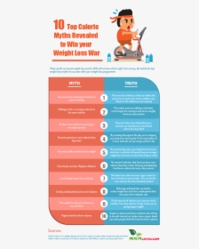Top 10 Calorie Myths Infographic Plaza - Myths And Truths Infographics, HD Png Download, Transparent PNG
