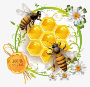 Bee Png - Transparent Honey Bee Vector, Png Download, Transparent PNG