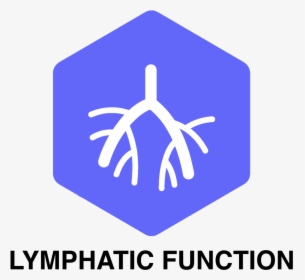 Reboot Pod Lymphatic Symbol - Baby Changing Station Sign, HD Png Download, Transparent PNG