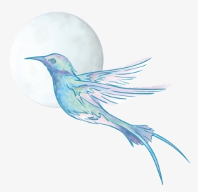 Perching Bird, HD Png Download, Transparent PNG