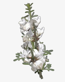 Artificial Flower, HD Png Download, Transparent PNG