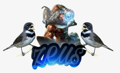#passarinho - Semipalmated Plover, HD Png Download, Transparent PNG