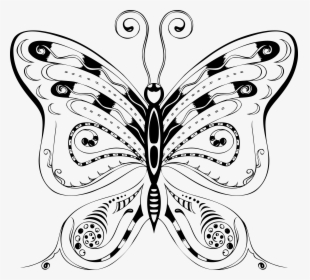 Vector Graphics, HD Png Download, Transparent PNG