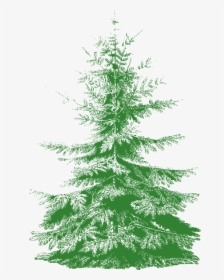 Christmas Tree, HD Png Download, Transparent PNG