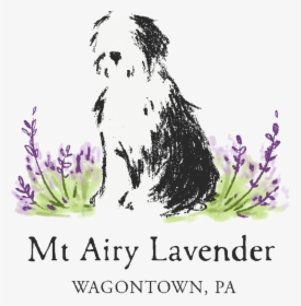 Lavander Png, Transparent Png, Transparent PNG