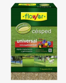 Cesped Decorativo Flower, HD Png Download, Transparent PNG