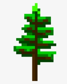 Christmas Tree, HD Png Download, Transparent PNG