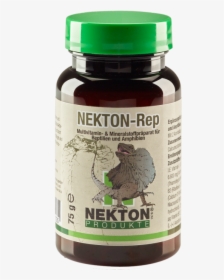 Necton, HD Png Download, Transparent PNG