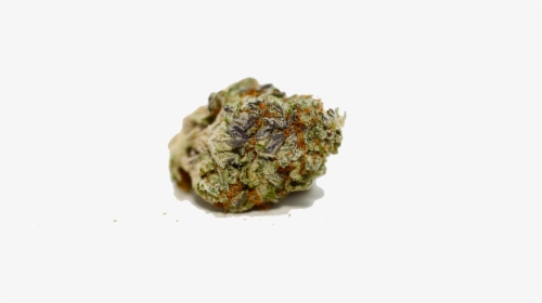 Weed Bud Png, Transparent Png, Transparent PNG
