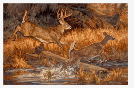 Copyright Ryan Kirby Whitetail Deer Oil Painting River - White Tailed Deer Painting, HD Png Download, Transparent PNG