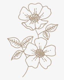 Brown Wild Rose, HD Png Download, Transparent PNG