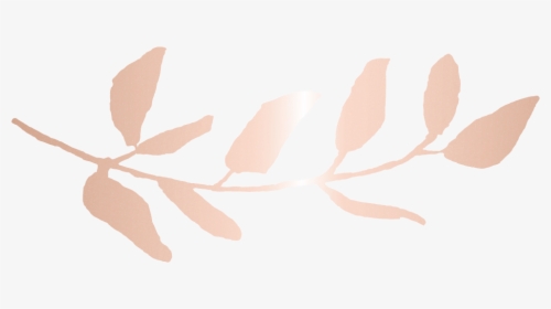Vertias Studio Branch Rose Gold - Twig, HD Png Download, Transparent PNG