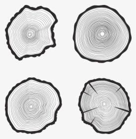 Black And White Tree Ring, HD Png Download, Transparent PNG