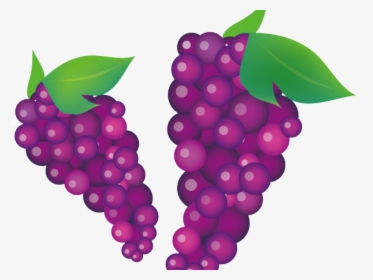 Grape Clipart Violet - Grapevine Clipart, HD Png Download, Transparent PNG