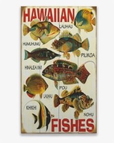 Hawaiian Fish, HD Png Download, Transparent PNG