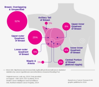 Breast Cancer Incidence By Anatomical Site - Site Of Breast Cancer, HD Png Download, Transparent PNG