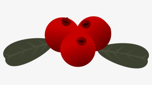 Berry Vector Red - Lingon Clipart, HD Png Download, Transparent PNG