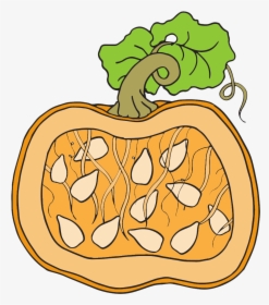 Clipart Pumpkin Has Seeds, HD Png Download, Transparent PNG