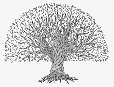 Big Tree With Roots, HD Png Download, Transparent PNG